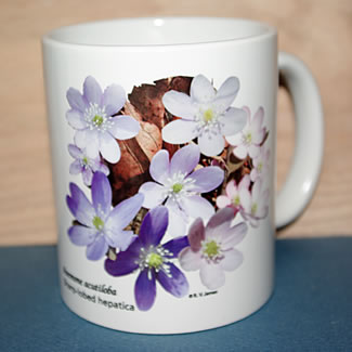 mug DS-140 6677.jpg